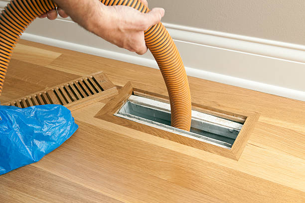 Air Duct Mold Removal in North Potomac, MD