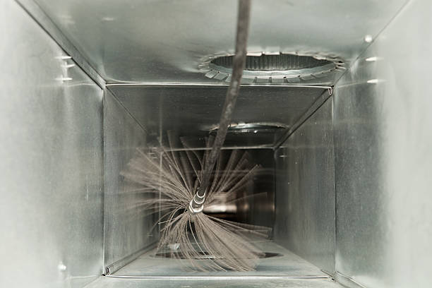 Best Air Duct Mold Removal  in North Potomac, MD